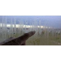 Kaip galima apsaugoti langus nuo rasojimo?