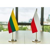 Lithuanian and Polish Business