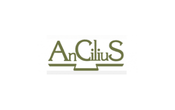 ANCILIUS, kultūrinių iniciatyvų, UAB