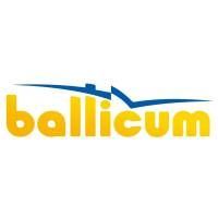 Balticum TV, UAB filialas