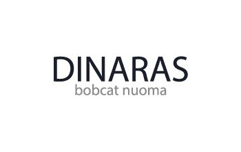 Dinaras, UAB