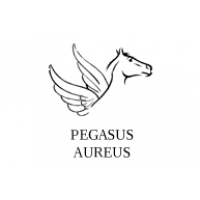 Pegasus Aureus, UAB