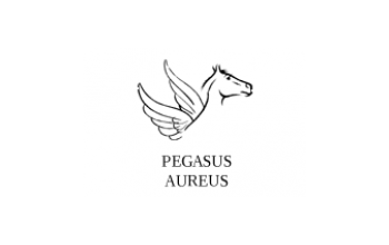 Pegasus Aureus, UAB